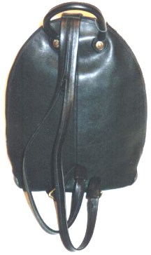 backpack back side view