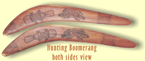 hunting boomerang collectors item