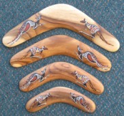Standard boomerangs