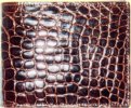 Burgundy wallet saltwater crocodile leather