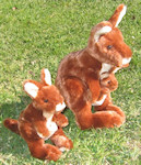 Kangaroo soft toys