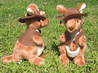 Kangaroo toy with music