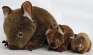 Wombat plush toys