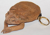 Cane toad purses