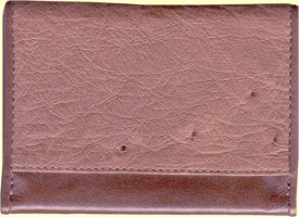 �Kango color ostrich wallet back side