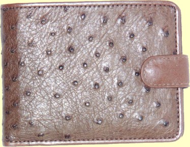 brown credit card hip wallet