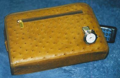 man_bag_yellow.jpg (16678 bytes)