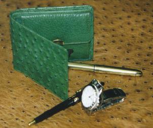 wallet_men_green.jpg (15634 bytes)
