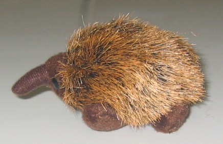 Echidna fridge magnet