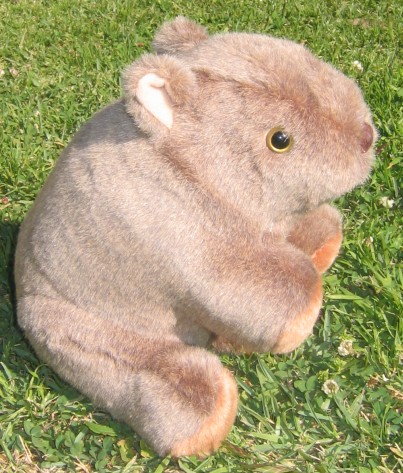 large stuffed wombat