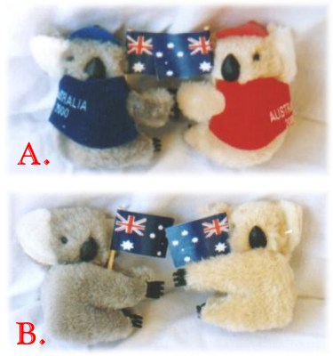 small koalas - popular Australian souvenir