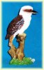 kookaburra statuette