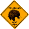 Echidna road signs