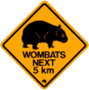 wombat