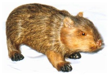 wombat_fur.jpg