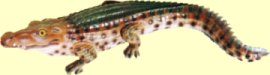 crocodile statuette