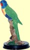 lorikeet statue