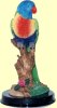 lorikeet figure
