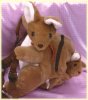 kangaroo backpack