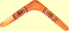 Black Wattle root boomerang