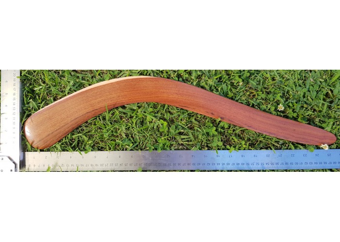 Black Wattle Root Hunting Boomerang