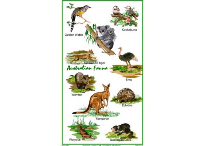 Tea Towel – Australian Animals