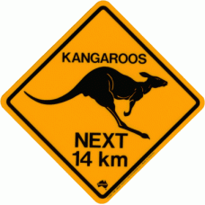 Kangaroo Road Sign - Magnet, 48x48mm