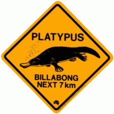 Platypus Road Sign - Sticker, 8x8cm