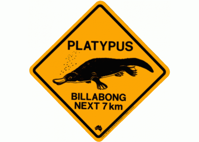 Small Platypus Road Sign, 19x19cm