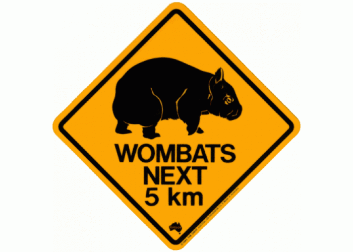 Wombat Road Sign - Sticker, 8x8cm