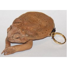 Cane Toad Coin Purse