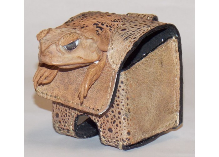 Cane Toad Golf Ball Case