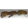 Cane Toad Coin Purse