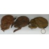 Cane Toad Coin Purse