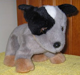 Blue Heeler soft toy