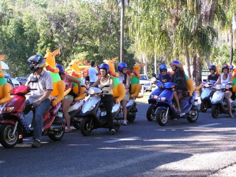 Inflatable Kangaroo Toys riding scooters