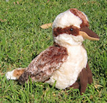 Plush kookaburra toy