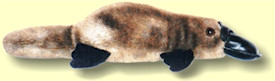 Platypus soft toys