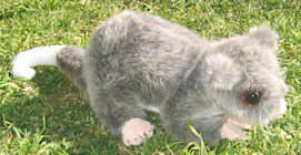 Possum soft toys