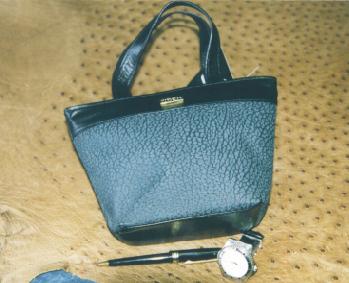 bag_blue_small.jpg (19795 bytes)
