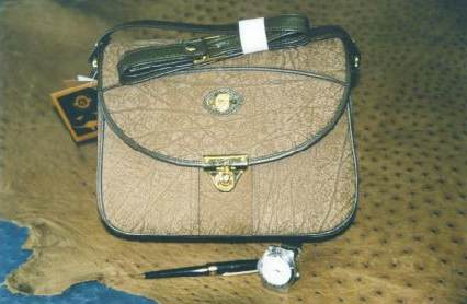 bag_sand_6.jpg (18564 bytes)