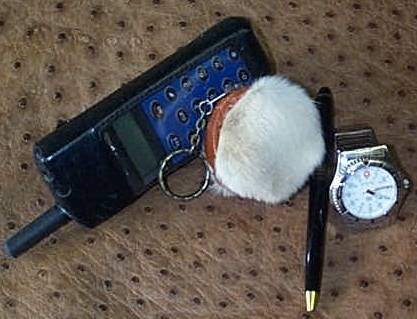 93.jpg (23735 bytes)