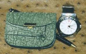 purse_green.jpg (11605 bytes)