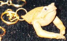 toad key fob