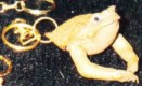 toad head key fob