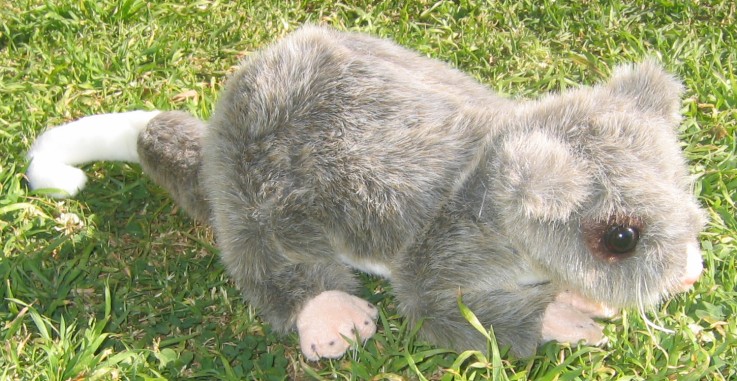 Possum soft toy - Peter The Possum