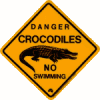 crocodile