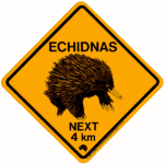 Echidna road sign