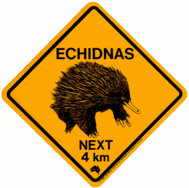 Echidna