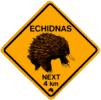 echidna